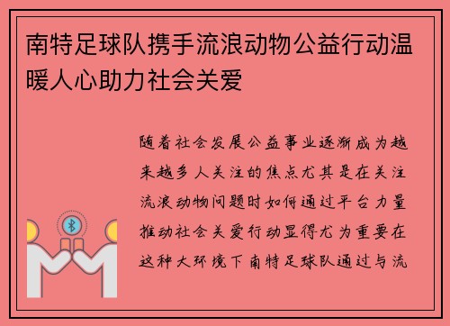 南特足球队携手流浪动物公益行动温暖人心助力社会关爱